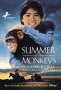 Summer of the monkeys 2.jpg